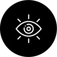 Vision